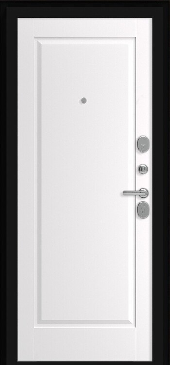 Дверь входная Porta R 8.П1