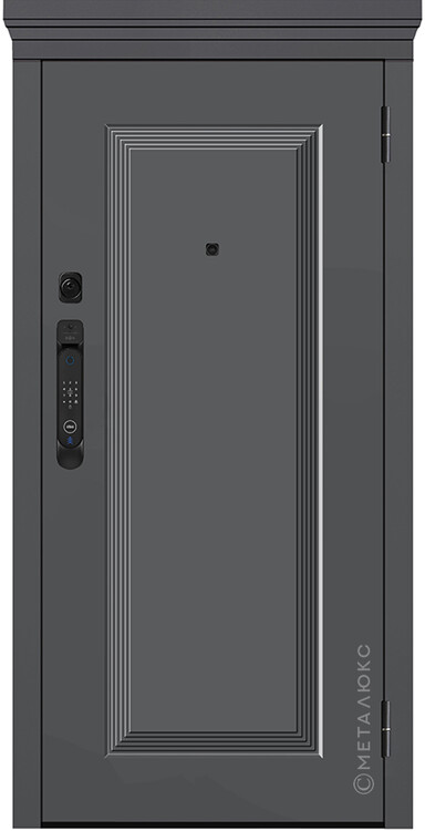 Дверь входная М-SP 668