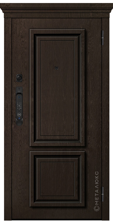 Дверь входная М-SP 670