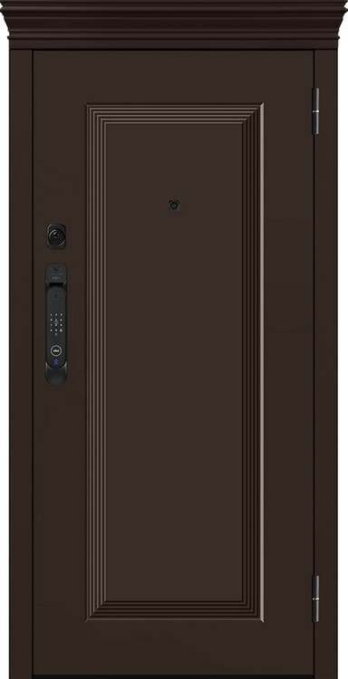 Дверь входная М-SP 668/1 E5