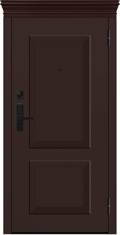 Дверь входная М-S 666/1 Е5