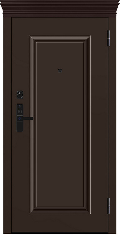 Дверь входная М-S 668/1 Е5