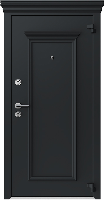Дверь входная одностворчатая AG6015
