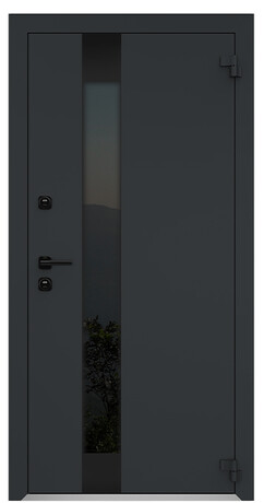 Дверь входная одностворчатая AG601 (black)