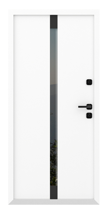 Дверь входная одностворчатая AG6050 (black)