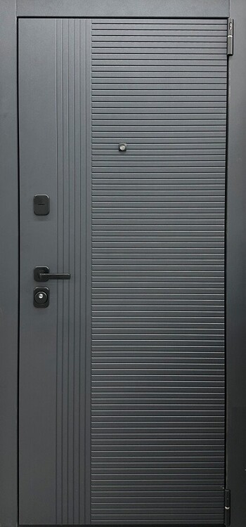 Дверь входная Porta R 89.П1
