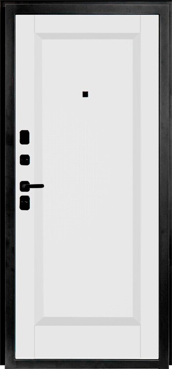 Дверь входная Porta R 89.П1