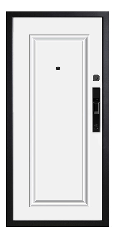 Дверь входная М-SL 668