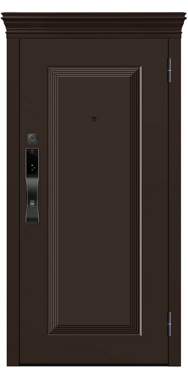 Дверь входная М-SL 668/1 Е5