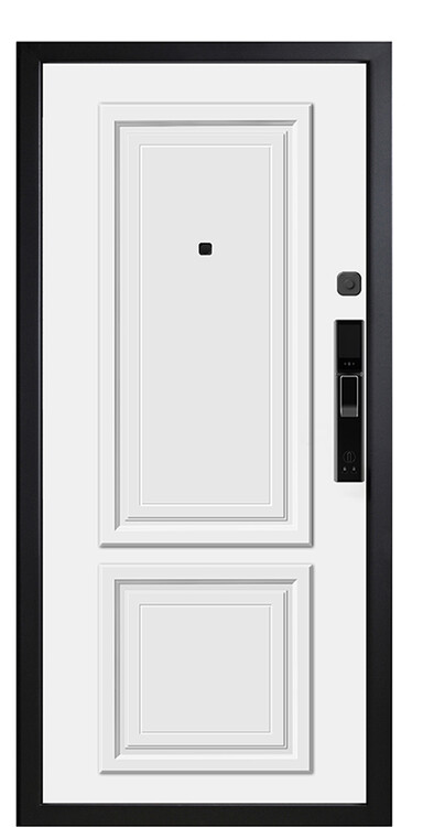Дверь входная М-SL 670
