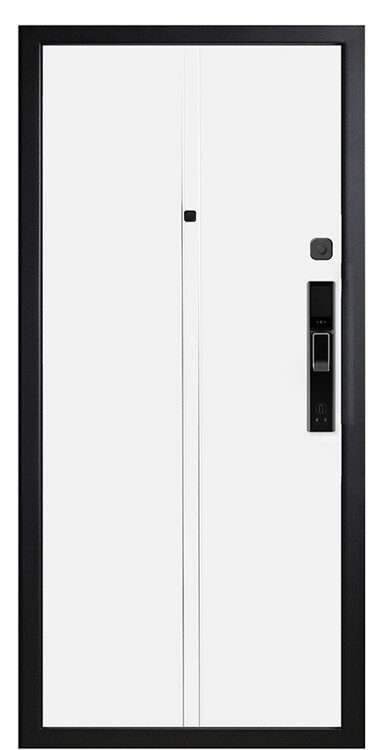 Дверь входная М-SL 703