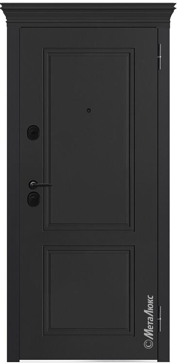 Дверь входная М1042 E