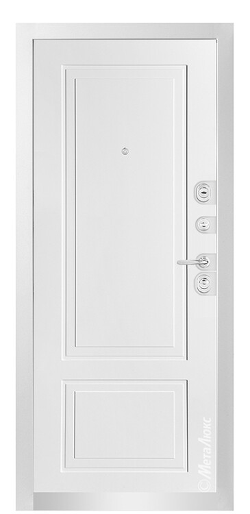 Дверь входная М1013 E