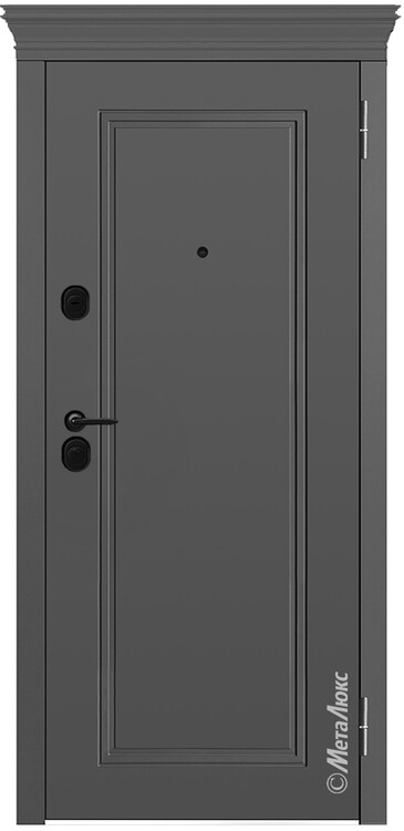 Дверь входная М1043 E