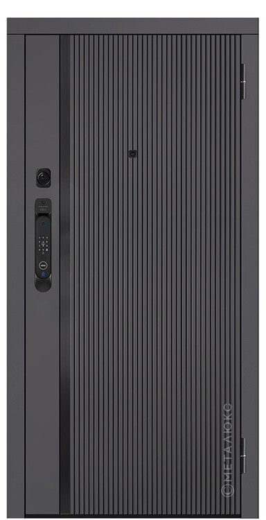 Дверь входная М-SP 661