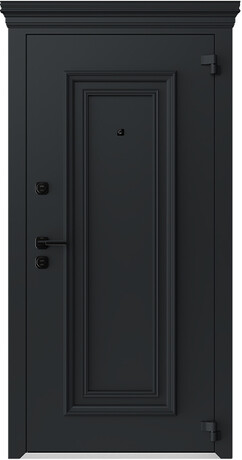 Дверь входная одностворчатая AG6079